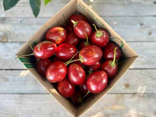 4kg Tamarillo Box - Field grade
