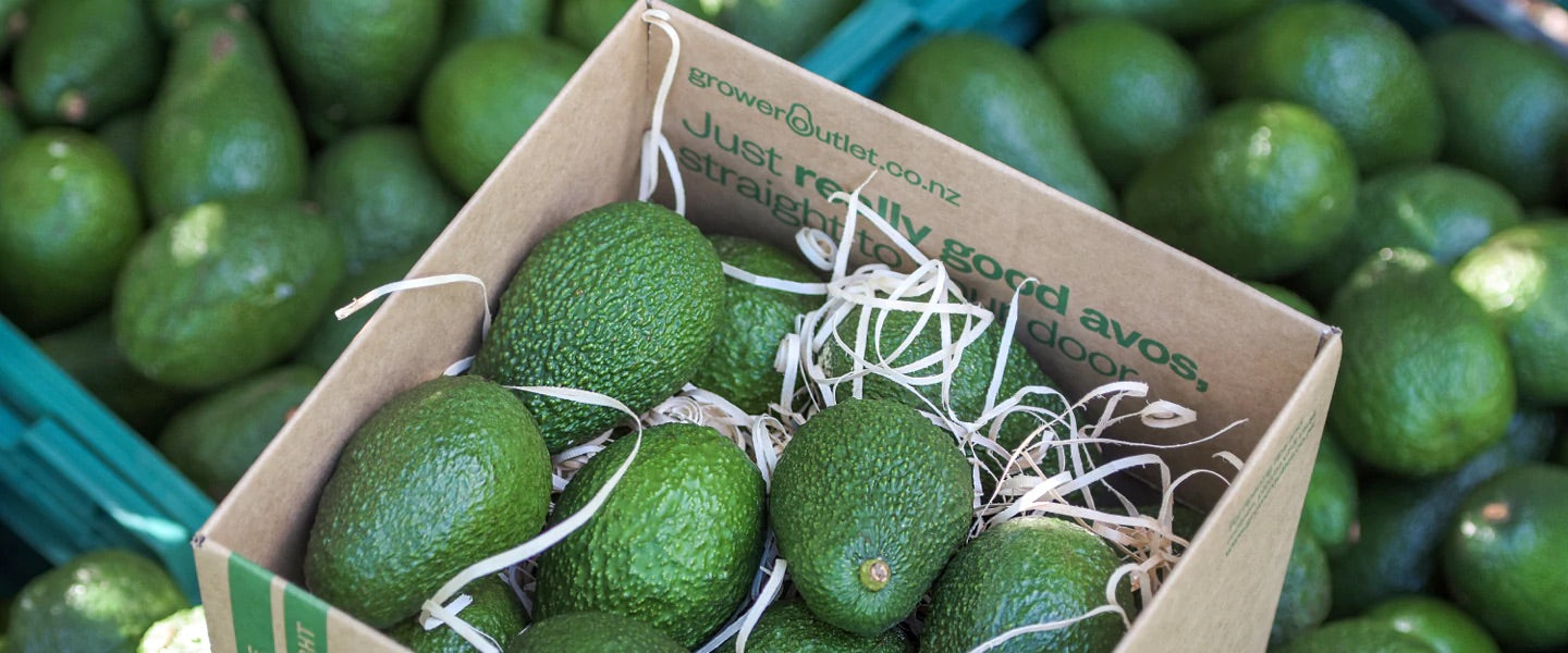 buy avocados nz