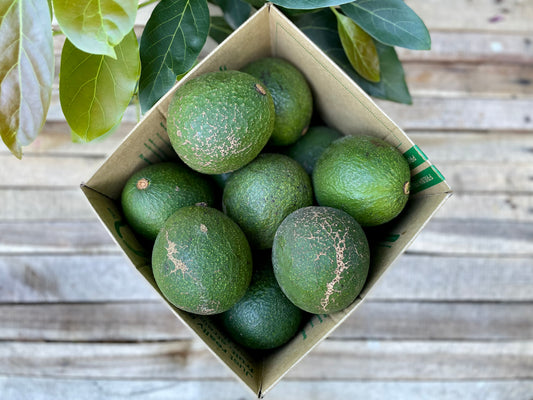 5kg Reed Avo Seconds