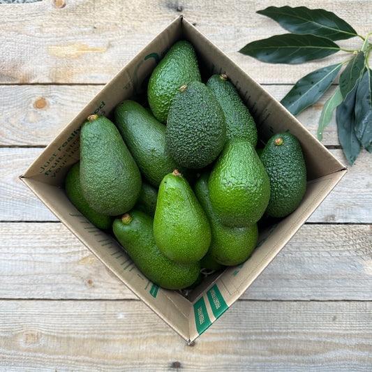 3kg Fuerte & Hass Avocados Combo