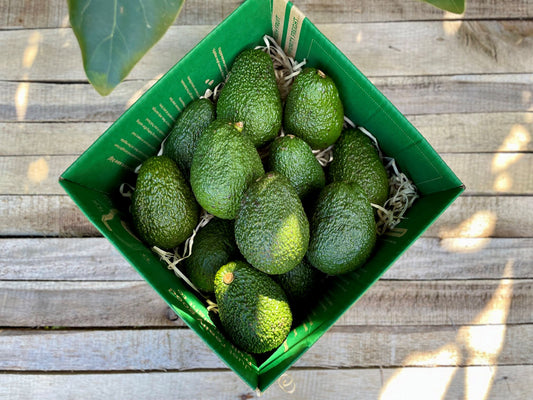 12 Medium Avocados