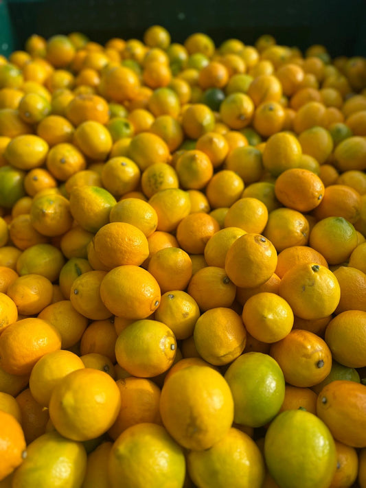 3kg Fresh Lemons