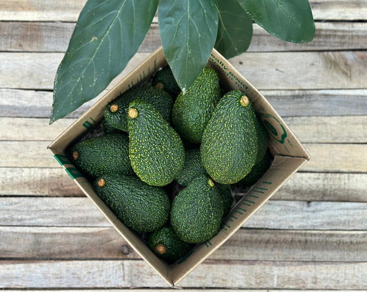 5kg MALUMA Seconds Avocados