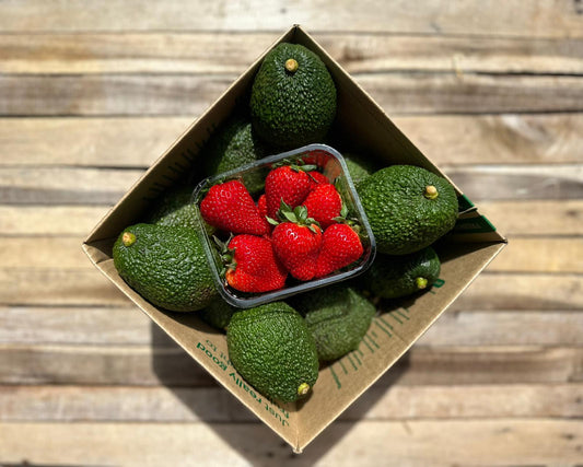 5kg Box of Avocado Seconds