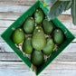 10 Large Avocados