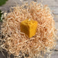 Beeswax Candle - ADD ON ONLY