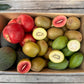 6kg Seasonal Fruit Box - URBAN ONLY