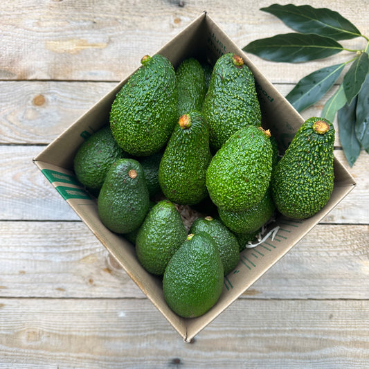 3kg Maluma & Hass Avocados Combo