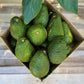 30 Large Avocados