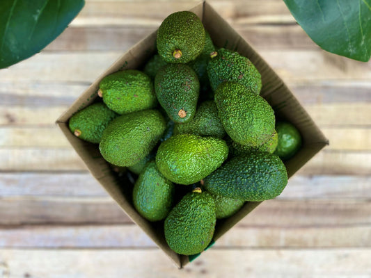 4.5kg Mixed Box Avos