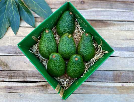 6 Jumbo Avocados