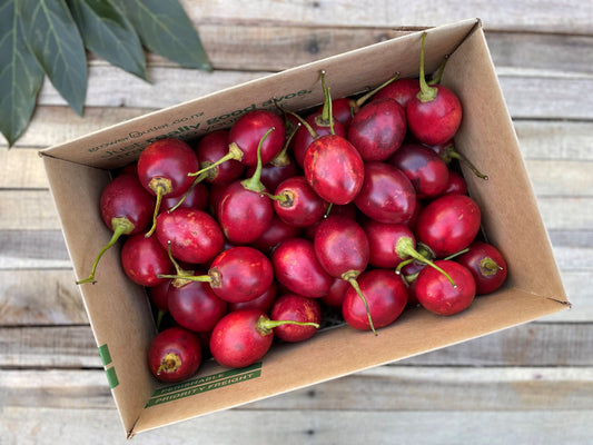8kg Tamarillo Box- Field Grade