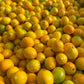 3kg Fresh Lemons