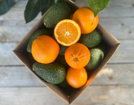 5kg Box of Avocado Seconds