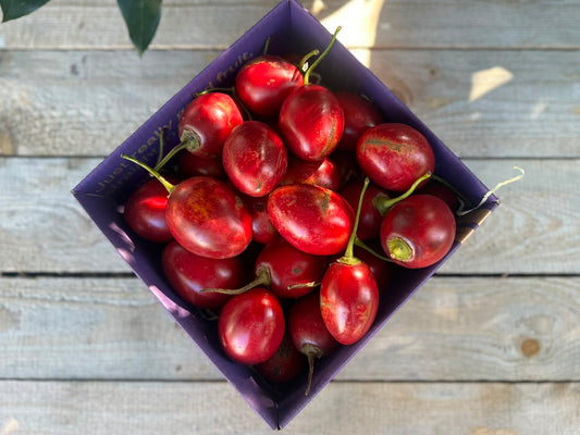 2kg Tamarillo Box - Field Grade