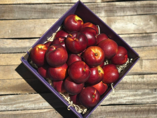 3kg Nectarines - URBAN ONLY