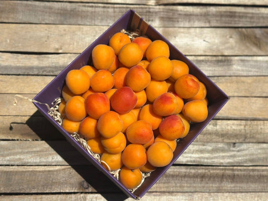 2KG Apricots - URBAN ONLY