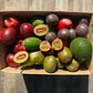 6kg Seasonal Fruit Box - URBAN ONLY