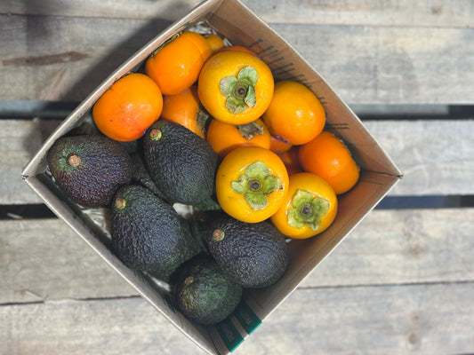 Avocado & Persimmon Combo Box