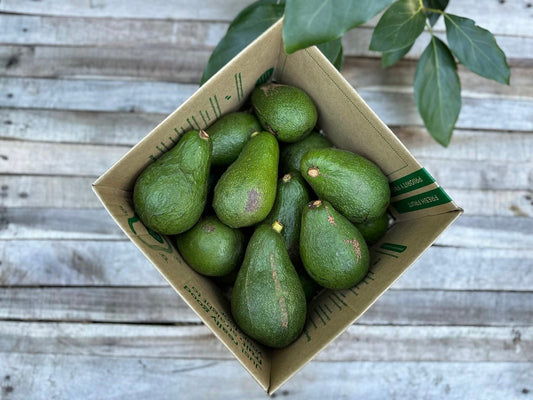 5kg Fuerte Avos Seconds