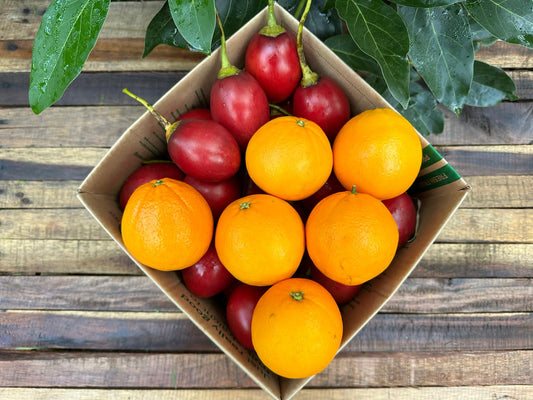 4kg Tamarillo & Orange Combo Box