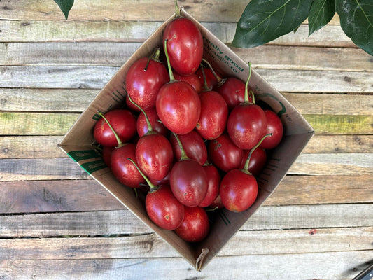 4kg Tamarillo Box - Field grade