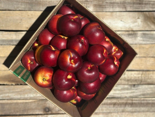 5kg Nectarines - URBAN ONLY