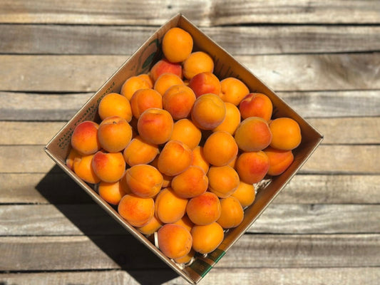 4KG Apricots - URBAN ONLY