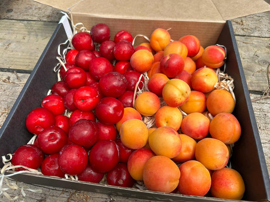 Plums + Apricots Mixed Box