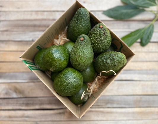 4kg Reed & Hass Avocado Combo Box