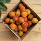 5KG Apricots - URBAN ONLY