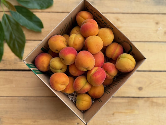 4KG Apricots - URBAN ONLY