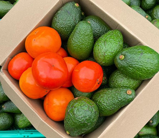 Avocado & Persimmon Combo Box