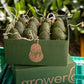 12 Medium Avocados - Prepaid Gift Subscription