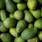 9 Extra Large Avocados - Prepaid Gift Subscription
